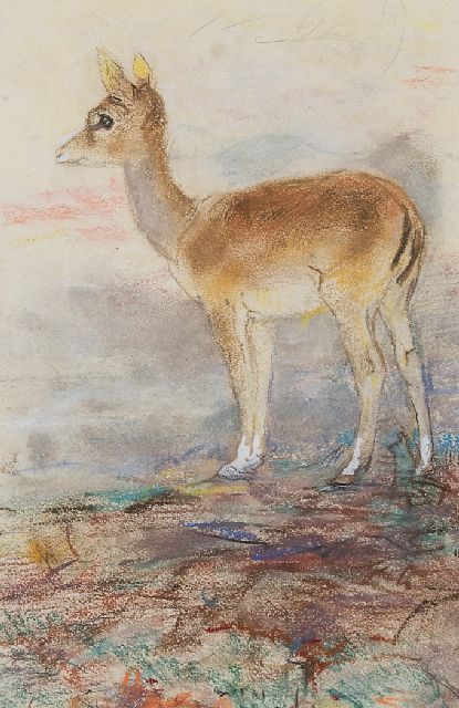 Willem Vaarzon Morel | Kleiner Hirsch, Pastell auf Papier, 27,5 x 18,5 cm, Unterzeichnet M.u.