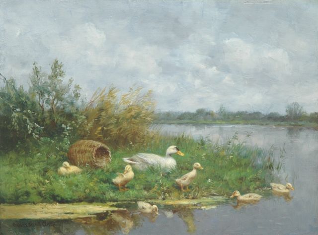 Constant Artz | Ducks and ducklings by a pond, Öl auf Holz, 30,1 x 40,1 cm, signed l.l.