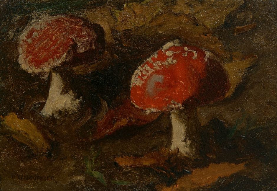 Marie Wandscheer - Fliegenpilz, Öl auf Holz 17,4 x 24,9 cm , Unterzeichnet u.l.