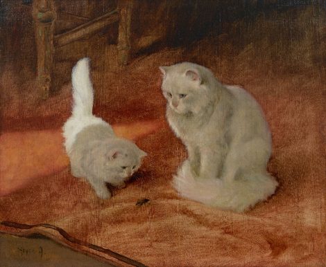 Arthur Heyer - Angora-Katze und Kätzchen mit einem Käfer, Öl auf Holzfaser auf Leinwand 56,2 x 68,0 cm, Unterzeichnet u.l.